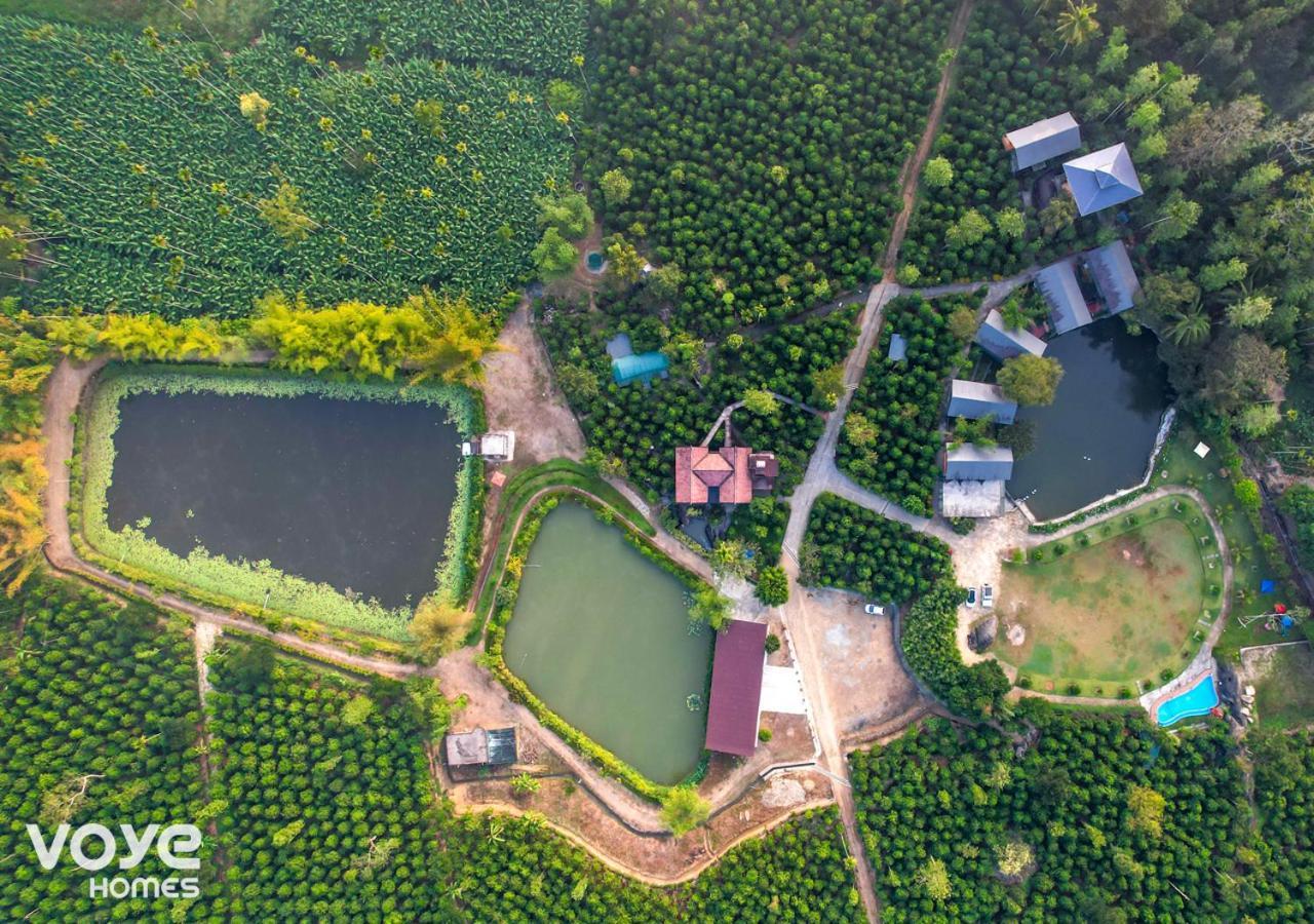 Niyatma Wayanad Pool Resort By Voye Homes Luaran gambar