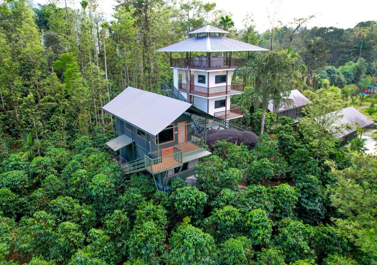 Niyatma Wayanad Pool Resort By Voye Homes Luaran gambar