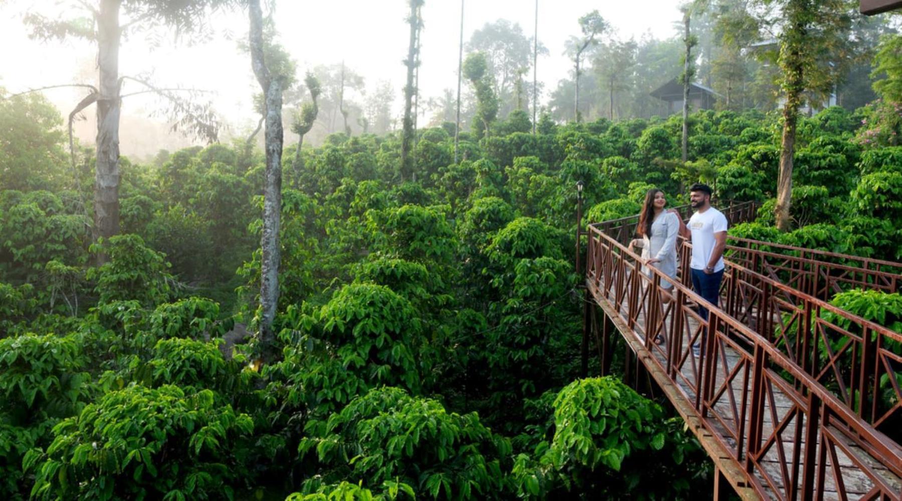 Niyatma Wayanad Pool Resort By Voye Homes Luaran gambar
